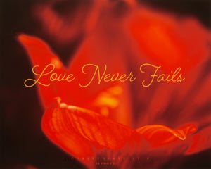 "Love Never Fails" in script font in yellow with close up of red flower as background.